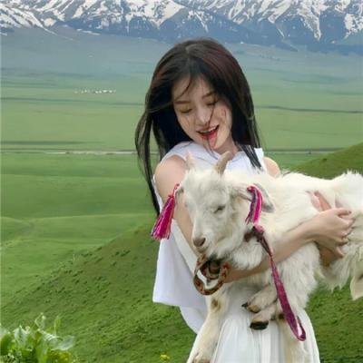 猛毒2:血蜘蛛